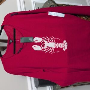 Wild Fable Red Cotton Sweater NWT Size XL
